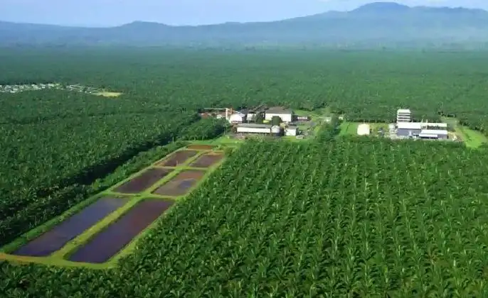 Gaji PT Sriwijaya Palm Oil Group Terbaru 2026